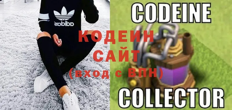 наркотики  ссылка на мегу рабочий сайт  Codein Purple Drank  Кириллов 