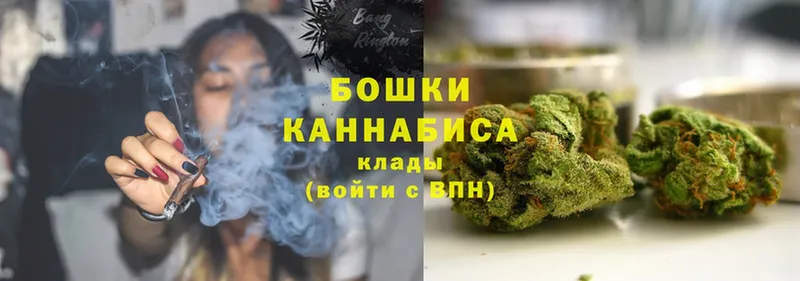 Шишки марихуана гибрид  Кириллов 